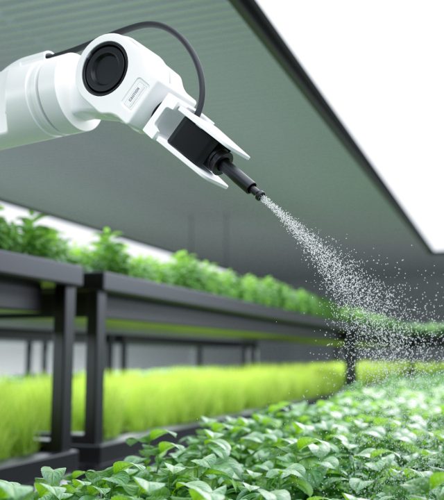 Smart robotic farmer spraying fertilizer on vegetable green plants, Agriculture technology, Farm automation. 3D illustration